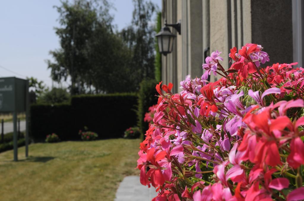 Hotel D'Hommelbelle à Poperinge Extérieur photo